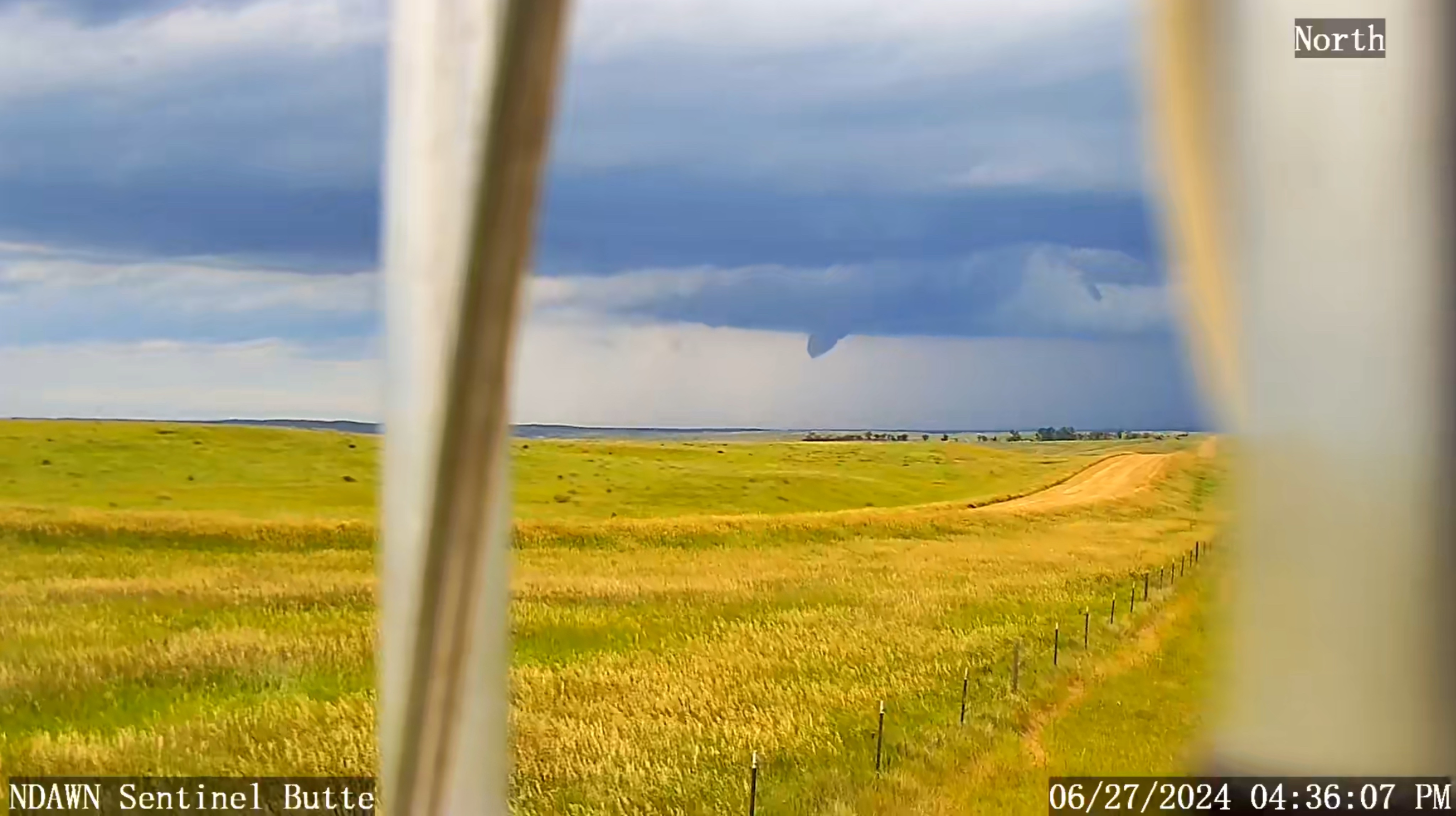 June 28, 2024 Newsletter WDEA